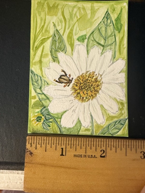aceo original art painting Coneflower And Beetle gallery