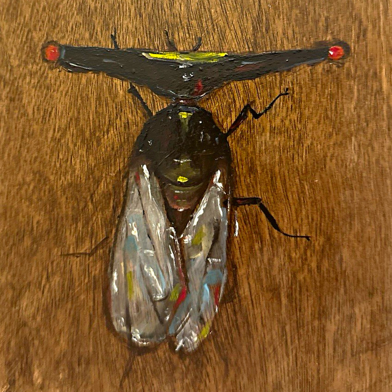 ORIGINAL Fly Oil Painting. 12*12 on wood