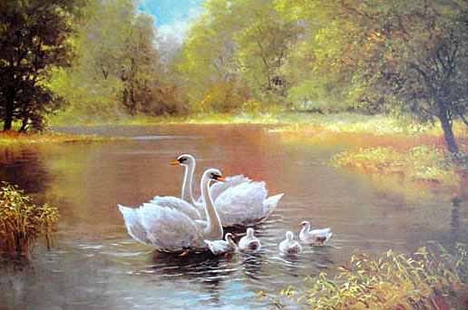 Oil painting happy family birds swan on the lake in landscape canvas