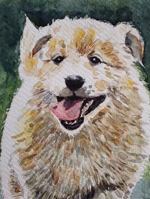 Original Small Watercolor Cute Puppy 7.1/2" X 5.1/2" NOT A PRINT gallery