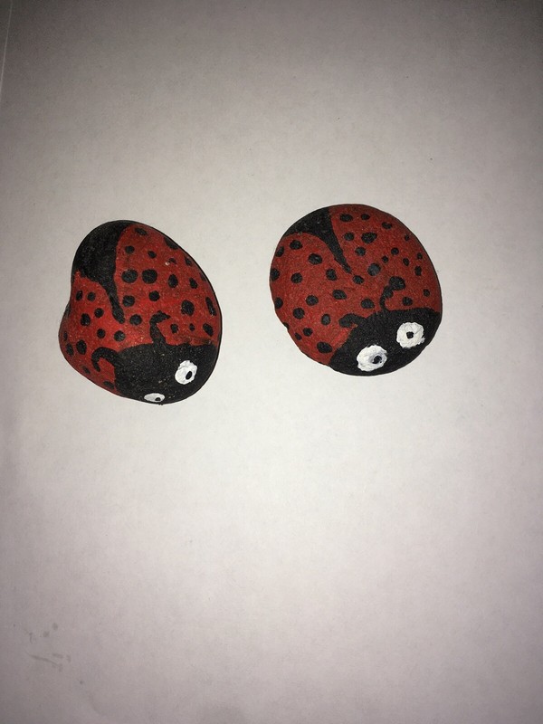 Painted Ladybugs Rocks set of Two Ladybugs gallery