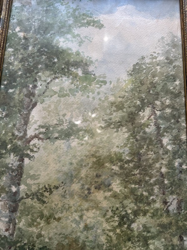 Framed VTG Signed Original Watercolor Painting 17”x22” Landscape G.E. Shiras gallery