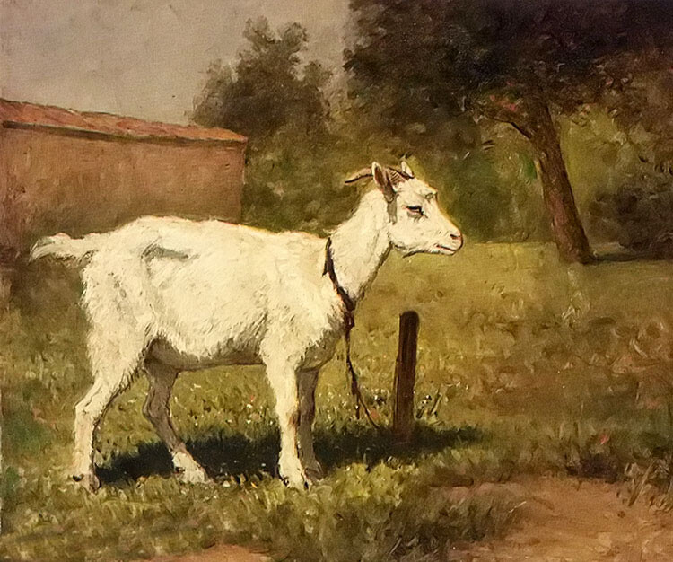 Oil painting henriette ronner Knip – a goat in a meadow nice animal hand painted