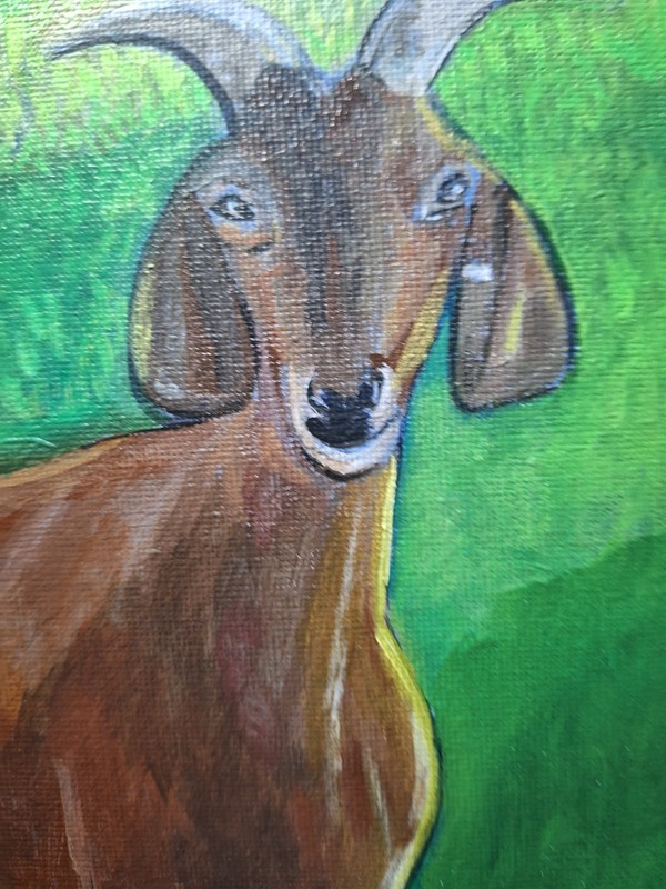 Original Contemporary Goat 8x10 Acrylic Painting Canvas Panel gallery