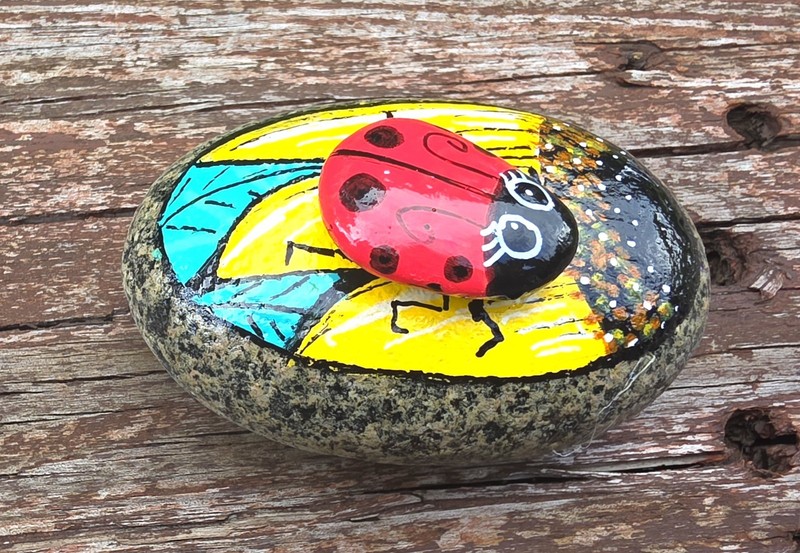 Hand Painted Kindness Rock painting Art Gift flowers faith Ladybug