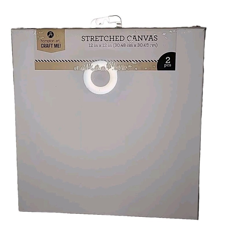 Two 12inX 12 In Blank Stretched Canvas By Hampton Art