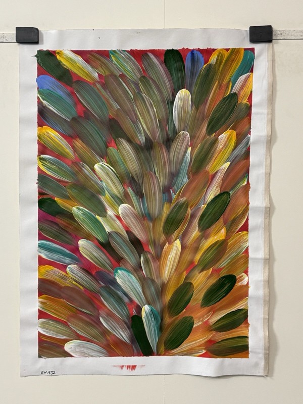 Esther Haywood Petyarre 💕Aboriginal Art COA Supplied. 87cm X 60cm EH1832 gallery
