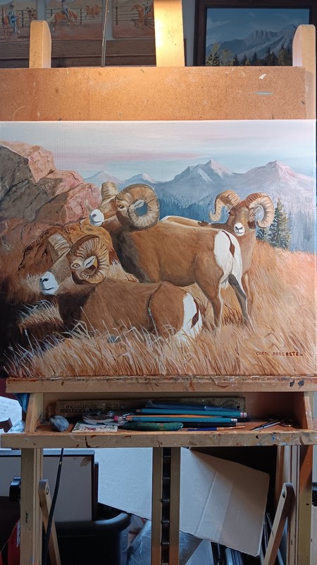 Original oil painting wildlife Bighorn sheep mountains sunrise Carol Proebstel gallery