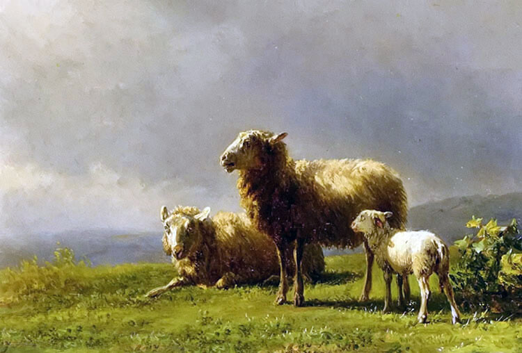 Oil painting Jan Bedijs Tom – sheep in a meadow with lamb sunset landscape art