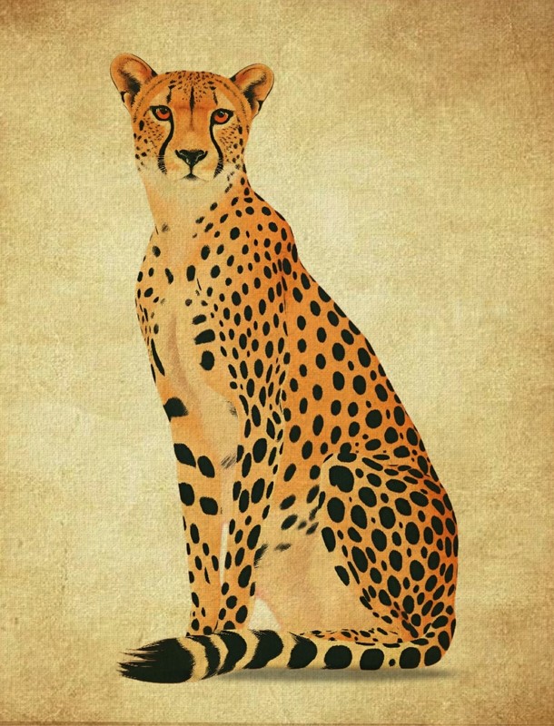 Leopard | Handmade Painting | Cotton Canvas | Acrylic Color