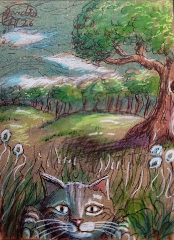 Jacob Landis HANDMADE ORIGINAL Whimsy ACEO Sketch Tabby Kitten «Sneaking Up»