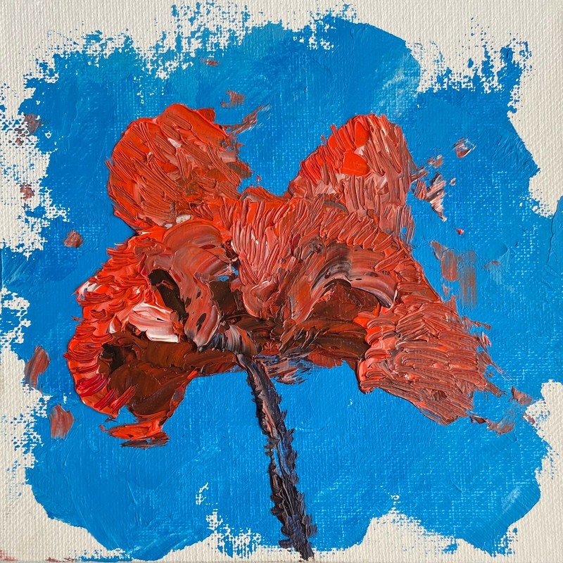 Poppy Flower. Stunning Oil Painting. Original. Signed by Artist. Small Painting