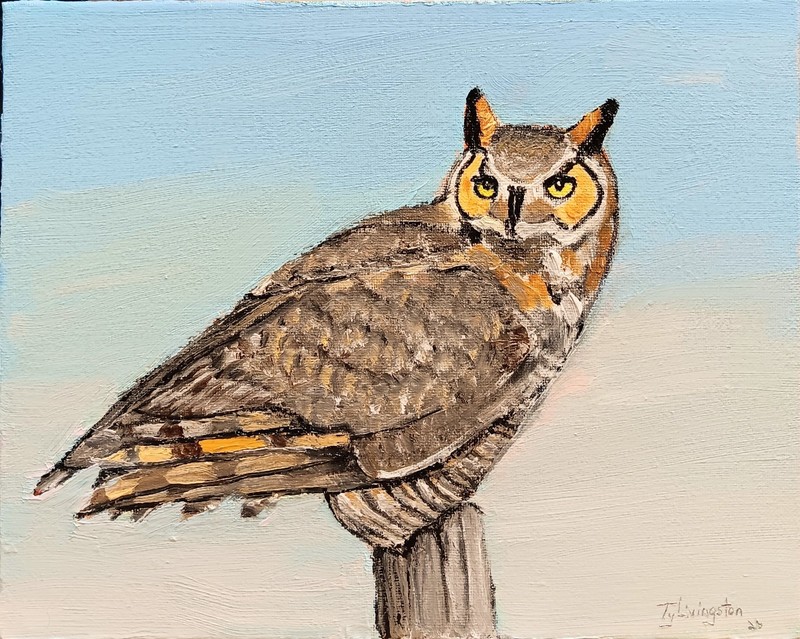 ON POINT 8x10 Original Oil Painting of Great Horned Owl by Ty Livingston.