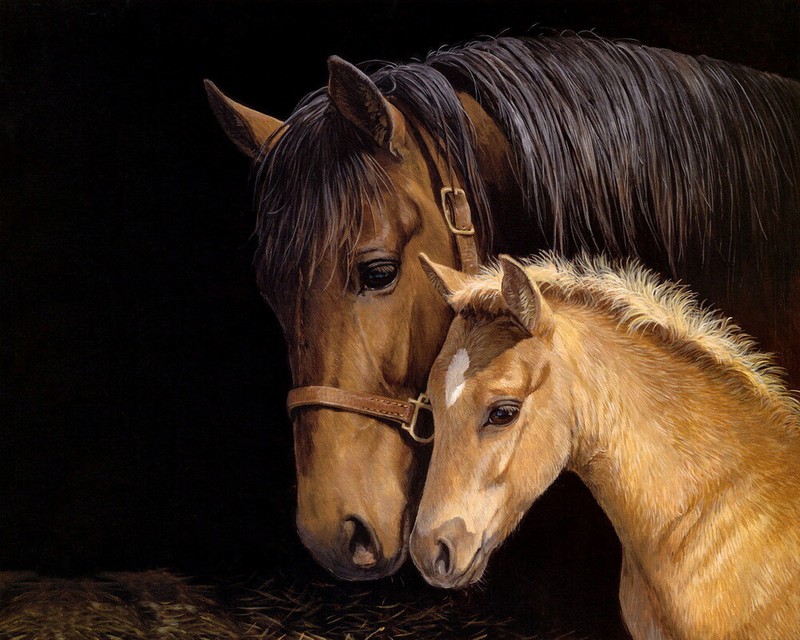 Horse Animal Oil painting Wall art Picture HD Giclee Printed on Canvas P247