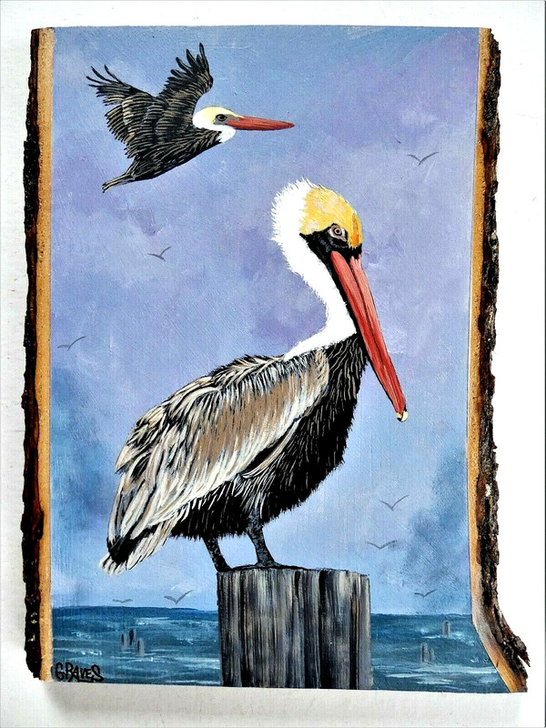 Hand Painted Brown Pelican On Live Edge Basswood By Phyllis