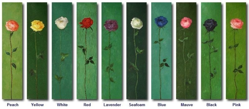 Clearance Sale Item! Tall Roses 48x10in each, Ten Colors, $16.95/ea