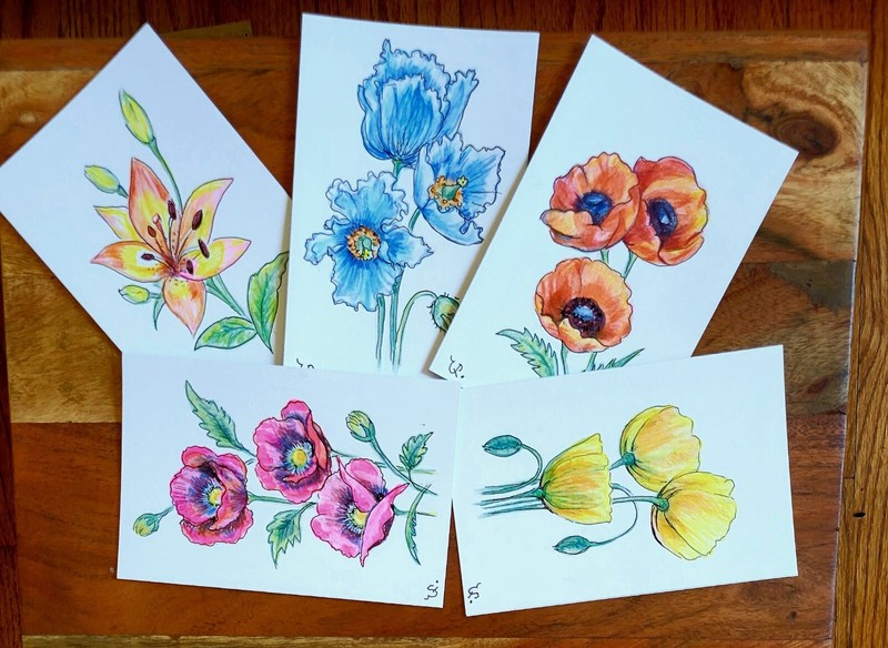 Original Handpainted Cards Set With Envelopes, Flowers, 4/6 Inch.