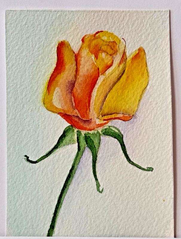 ACEO Original Watercolor Hand Painted Mini ART OOAK Orange Yellow Bloom Rosebud
