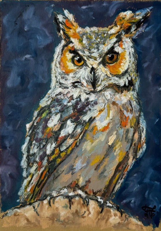 Owl Original Art Bird Wall Art Owl Oil Pastels Artwork Abstract Art Bird Artwork