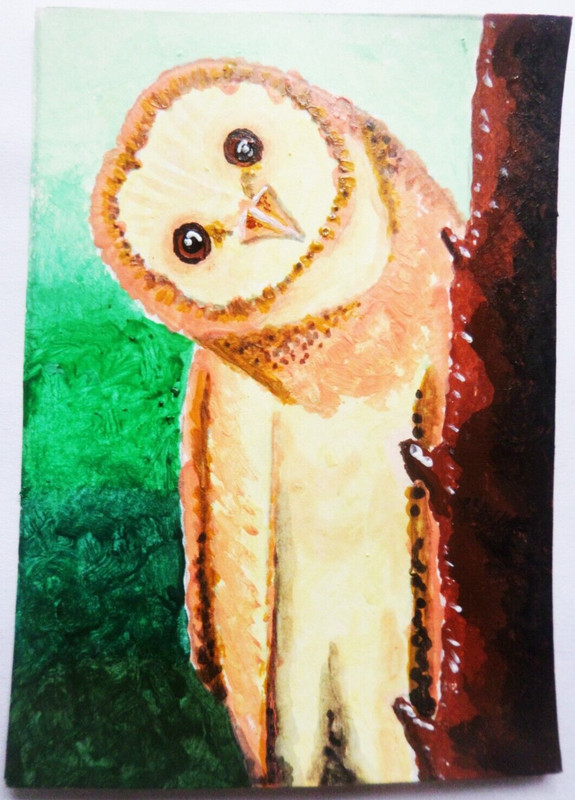 Original ACEO Art Card OWL Painting Miniature Ooak Acrylic sri lanka A102