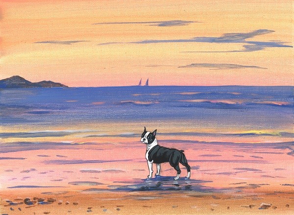 ORIGINAL HAND PAINTED RYTA PAINTING BOSTON TERRIER DOG BEACH Seascape Art Ocean