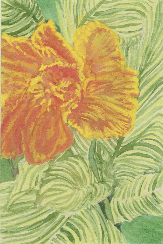 Bengal Tiger Canna hand-painted, signed OOAK original watercolor & acrylic ACEO