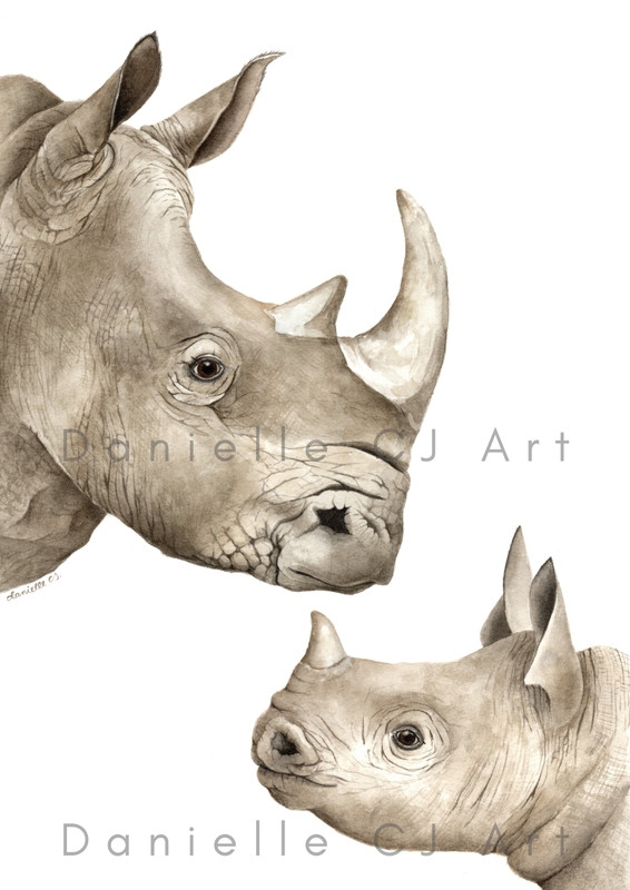 Original A4 Watercolour White Rhinoceros and Calf Painting