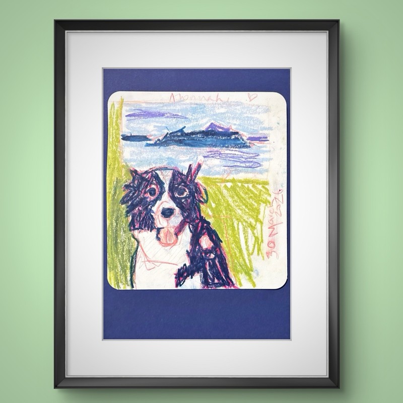 PORTIA Border Collie Original 14x15cm Neopastel On Paper Alonnah Tasmania Bruny