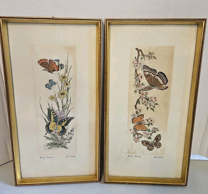 Vgt Western Germany Butterfly Framed Picture 1950 12 1/4″×6 1/2″ (2)