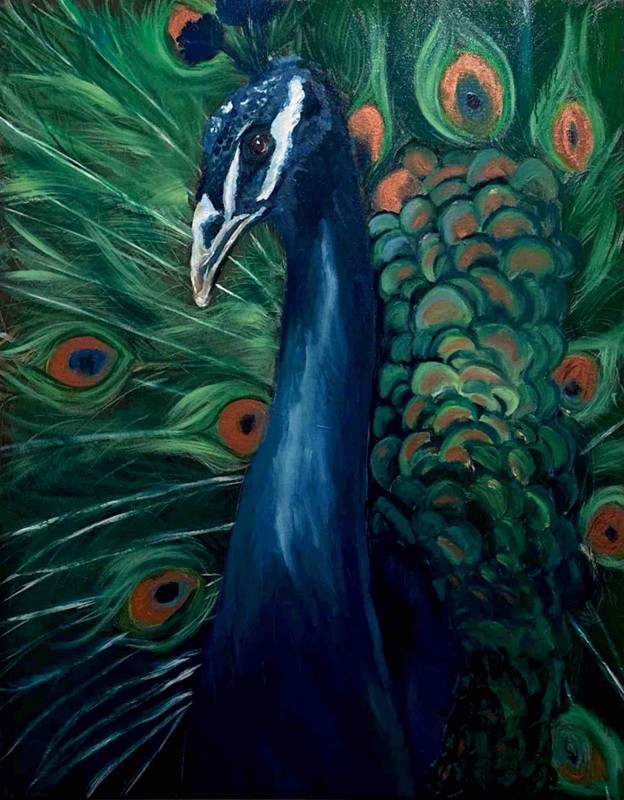original oil painting signed framed peacock art 22×28 Framed 18×24 unframed