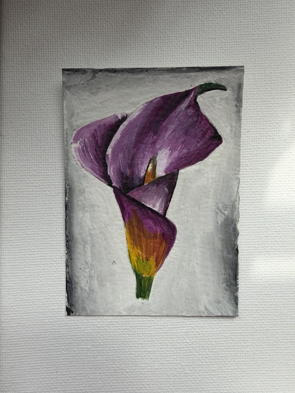 ACEO Original Painting, Acrylic Calla Lilly, Purple
