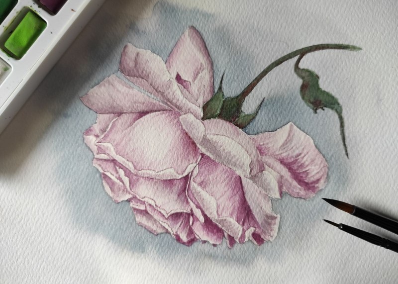 FLOWER PINK ROSE Original Artwork Painting Floral Landscape Art Wall Gift Sig A5 gallery