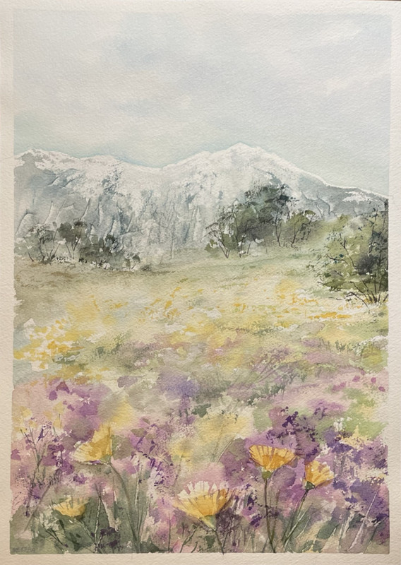 Original Watercolor Painting Landscape Nature Flowers Mountains – 10×14 inches