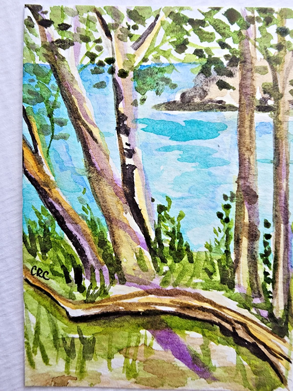 ACEO original watercolor miniature seascape painting nature art card by CRC