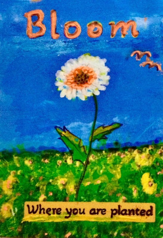 Original Art Trading Card BLOOM WHERE YOU ARE PLANTED Choose Size