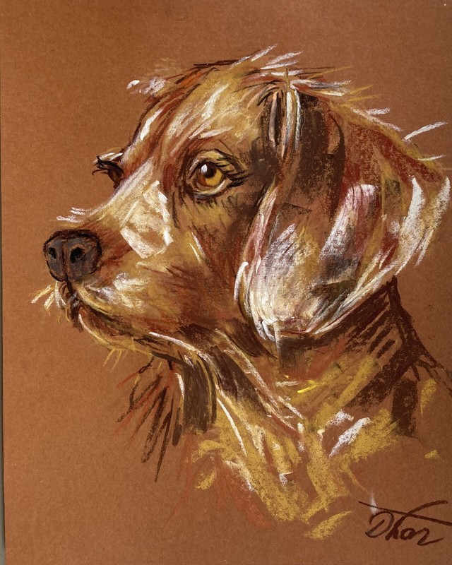 Original Pastel Dog Portrait Expressive Animal Art Framed