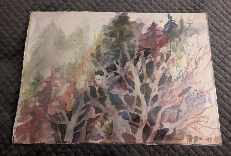 Joan Wale Original Watercolor Foggy Morning 21" x 15"