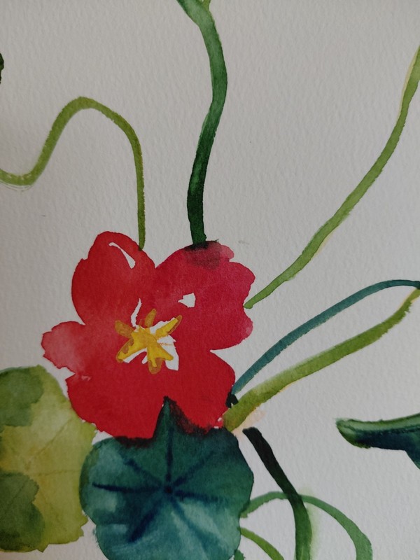 MONA VIVAR Original 12x9 Flower Botanical Impressionism Fine Art Painting gallery