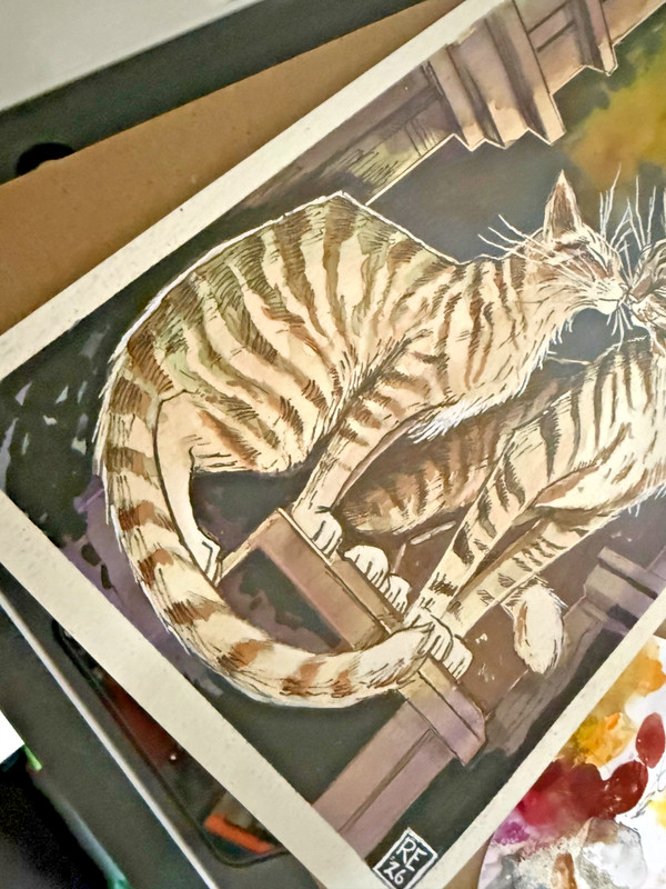 Original 7x10 Watercolor Ink Two Tabby Cats Love Art Roger Ealth 2026 gallery