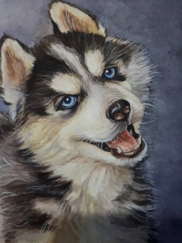 Siberian Husky Dog Cute Puppy animal portrait watercolor painting Nursery A4 Art gallery