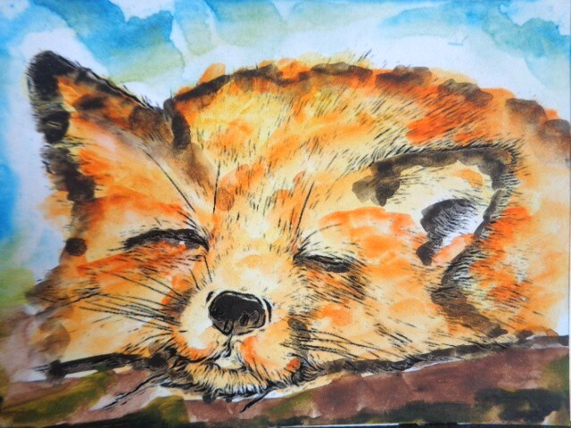 ACEO  Original  WILDLIFE  SLEEPING RED FOX  Watercolor Painting