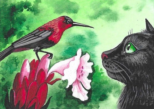 5×7 PRINT OF PAINTING RYTA BLACK CAT HUMMINGBIRD SPRING FLOWER GARDEN Easter 🌷