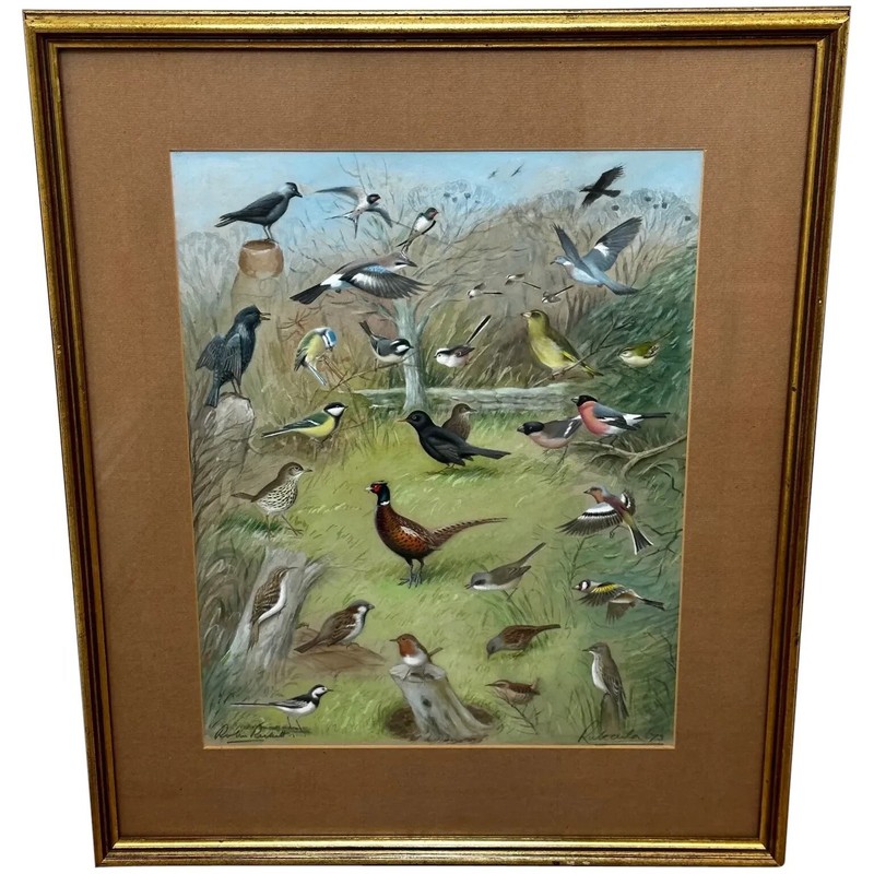 A Winter Gathering Robin & Mixed British Songbirds Manner of Archibald Thorburn