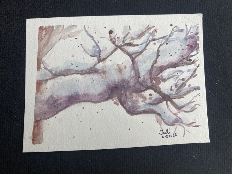Original Art Watercolor Painting Snow On Trunks Tree Trunk Branch Signed OOAK gallery