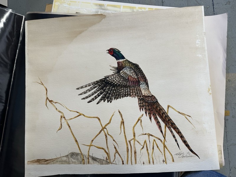 Listed Original Pheasant Hunting Watercolor Painting Signed Obolewicz