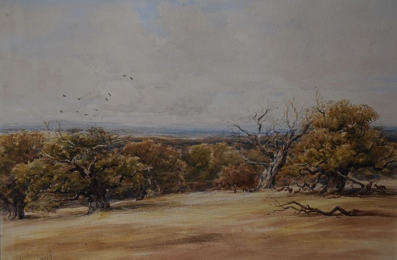 A VIEW ACROSS MOORLAND TO FOREST BEYOND WATERCOLOUR JAMES OROCK 1875