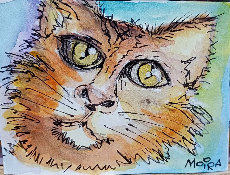 Aceo Original Handpainted Cat Feline Watercolor & Ink