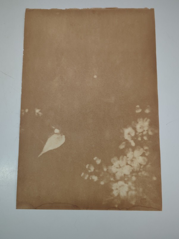 Antique Chinese Calligraphy Scripture Revelation 22:20 Bible Art Bird & Flowers gallery
