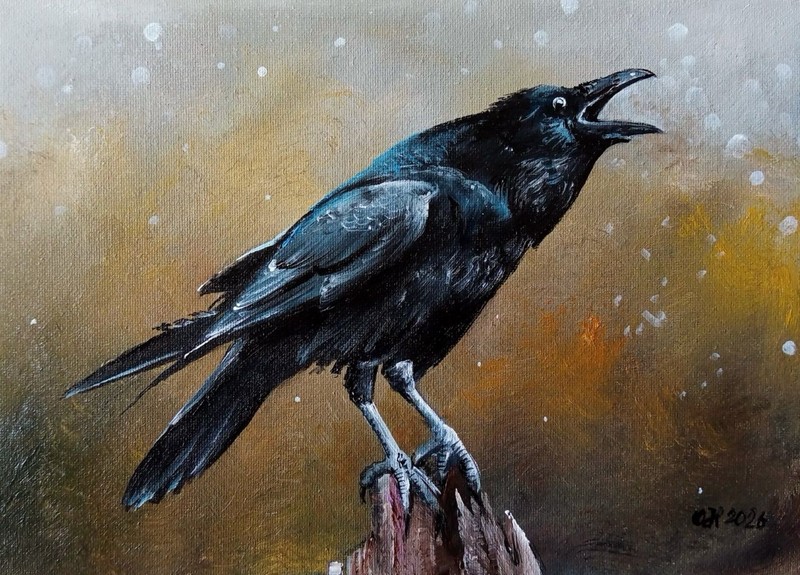 Original Oil Painting Crow Bird Wildlife Art Black Raven Snow 15×21 cm Canvas