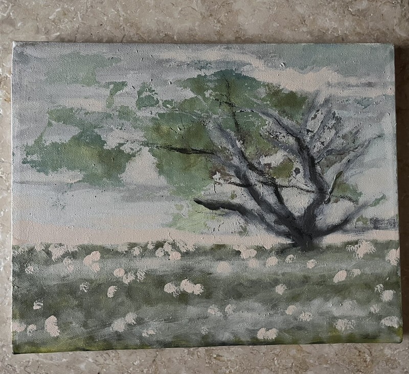 Original Acrylic Painting Stretch Canvas 11”x14” COTTON FIELD